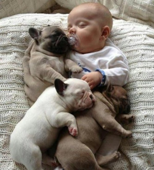 animals baby cute puppy puppies kids dogs