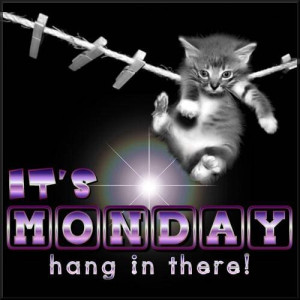 It's Monday Hang in there!