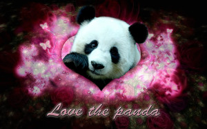 Panda Love Quotes Dmca Catie Panda Love Quotes
