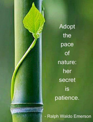 Adopt the pace of nature: her secret is patience. - Ralph Waldo ...