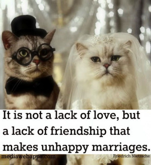 Cat Love Quotes