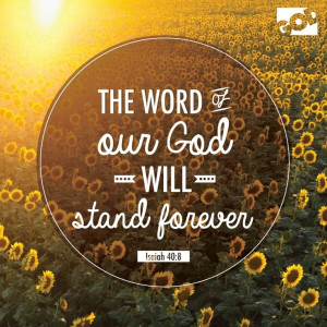 40:8 ~ The word of our God will stand forever...: God Will, God Words ...