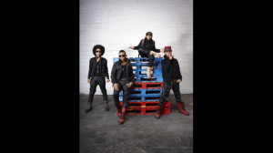 Mindless Behavior Evolution