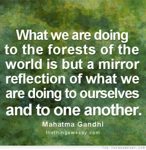 Quotes About Mirrors And Reflections. QuotesGram