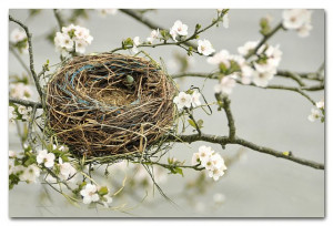 empty nest - I can relate