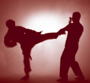 Iconic Martial Arts Photos