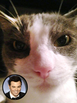 Seth MacFarlane's cat