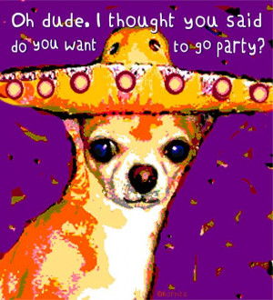 Oh Dude! Chihuahua in Mexican Hat - Funny Dog by Rebecca Korpita ...