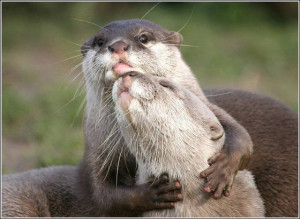 The family you come from isn't as important as the family you're ...