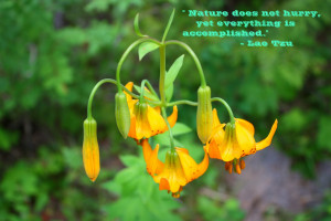 Posted by Kelsey Werstuik at 2:30 PM