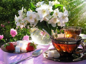 good-morning-lime-flower-and-tea