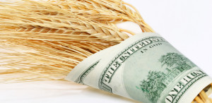 Major Benefits of Using Commercial Farm Loans