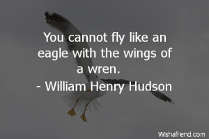 Quotes About Flying Like A Bird