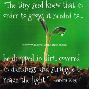 The tiny seed knew that in order to grow, it needed to be dropped in ...
