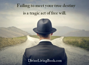 ... quotes #inspirational #freewill #destiny #choices #fulfillment #fate #