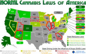 Wisconsin Weed – Will Marijuana Ever Be Legalized?