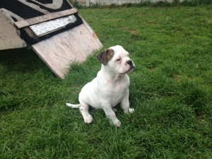 Funny Quotes Contact Dmca...