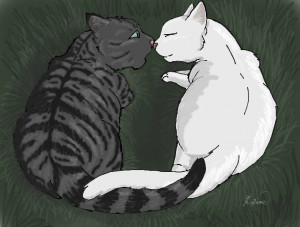 Warrior Cats Jay Feather And Half Moon