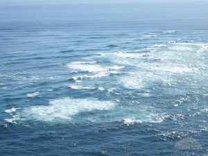 the-tasman-sea-meets-the-pacific-ocean-te-paki.jpg
