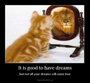 dreams but not all your dream come true cat lion mirror demotivator ...