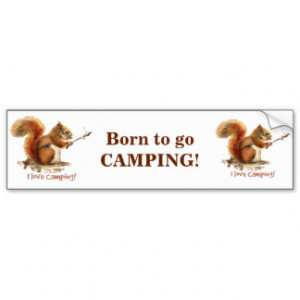 BORN TO GO CAMPING Fun Squirrel Cute Animal Quote Car Bumper Sticker