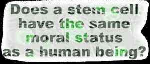 But research embryos do not deserve the same moral status as humans ...