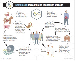 ... /cnbc.com/resources/files/2014/01/16/Antibiotic%20resistance_0.png