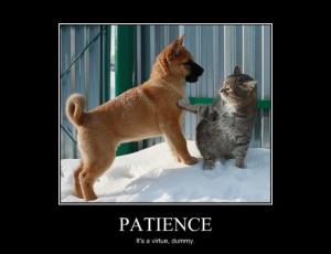 Patience Is A Virtue Quote