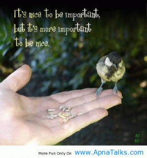 ... its-nice-to-be-important-but-its-more-important-to-be-nice-birds-quote
