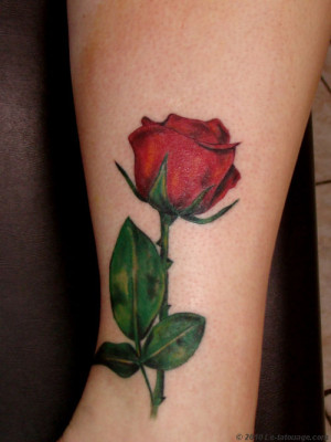 Tatouage rose cheville, Photos et Modèles de tatouages rose