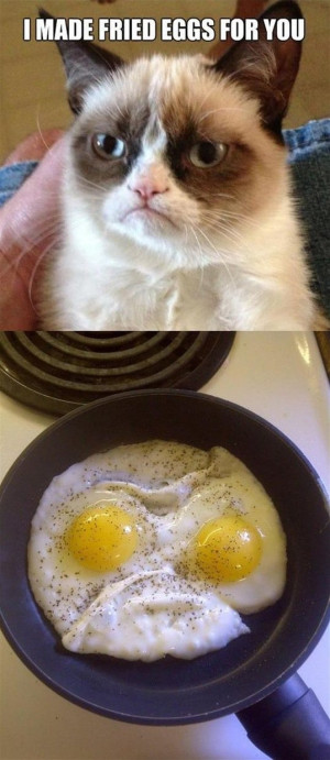 Grumpy Cat Fried Eggs Breakfast —- Best funny, pictures, humor ...