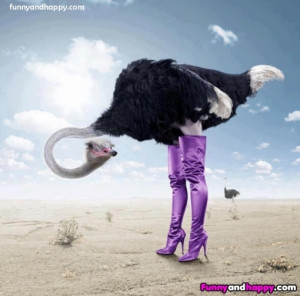 Funny ostrich in boots