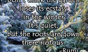 Rumi Winter Garden Quote