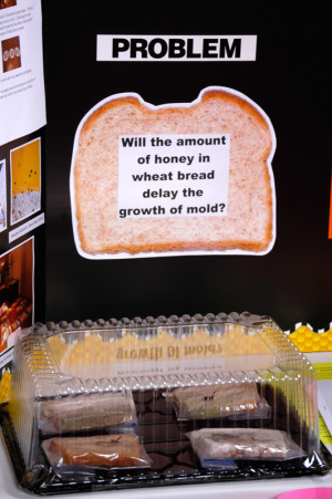 Great advancements in bread mold research from the series 