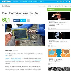 Even Dolphins Love the iPad. It seems that yet another member of the ...