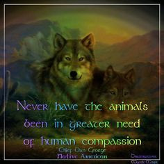 Indian Quotes About Wolves | native american quotes about wolves ...