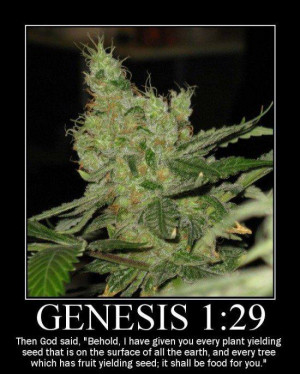 420 memes january 11 2014 0 bible genesis quote humor genesis 1 29 ...