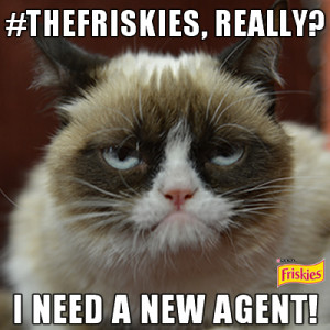 Grumpy Cat Gets Endorsement Deal [