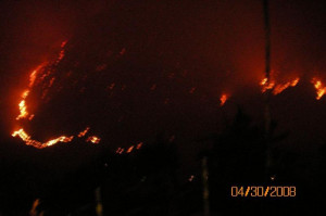 Forest Fires - Uttarakhand's Mid-Summer Nightmare