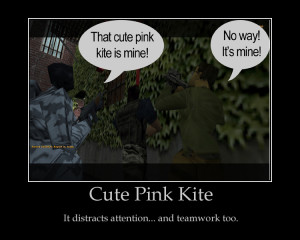 Teamwork Cute Cute pink kite it distracts