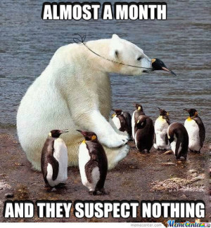 Polar Bear Memes - 1237 results