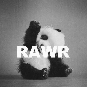 Funny Quotes Contact Us DMCA Notice