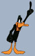 Images For Daffy The Duck Picture