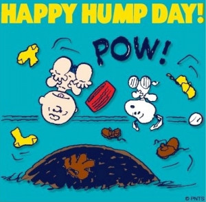 Happy Hump Day Wednesday! Snoopy and Peanuts cartoon via www.Facebook ...