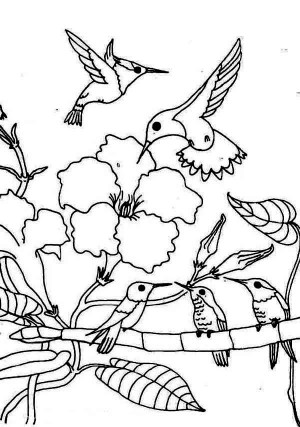 Hummingbirds, : gathering-season-of-hummingbird-coloring-page.jpg