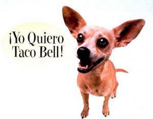 Yo Quiero Taco Bell Dog dies - Gidget, the Chihuahua who starred in a ...