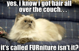furniture funny pictures