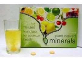 Sizzling Minerals flavoured effervescent wafers dissolve easily in ...