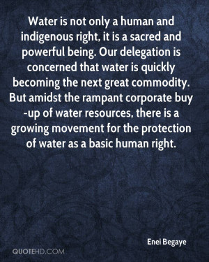 Water is not only a human and indigenous right, it is a sacred and ...