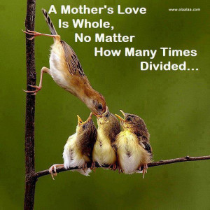 Mothers Love